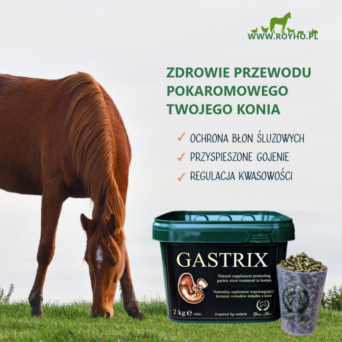 GASTRIX - idealny dla koni cierpiących na wrzody żołądka